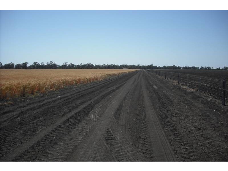 * Sterling Rd, Goondiwindi QLD 4390