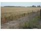 * Sterling Rd, Goondiwindi QLD 4390