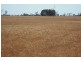 * Sterling Rd, Goondiwindi QLD 4390
