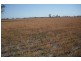 * Sterling Rd, Goondiwindi QLD 4390