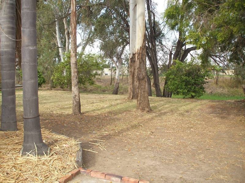 126 Pfingst, Goondiwindi QLD 4390