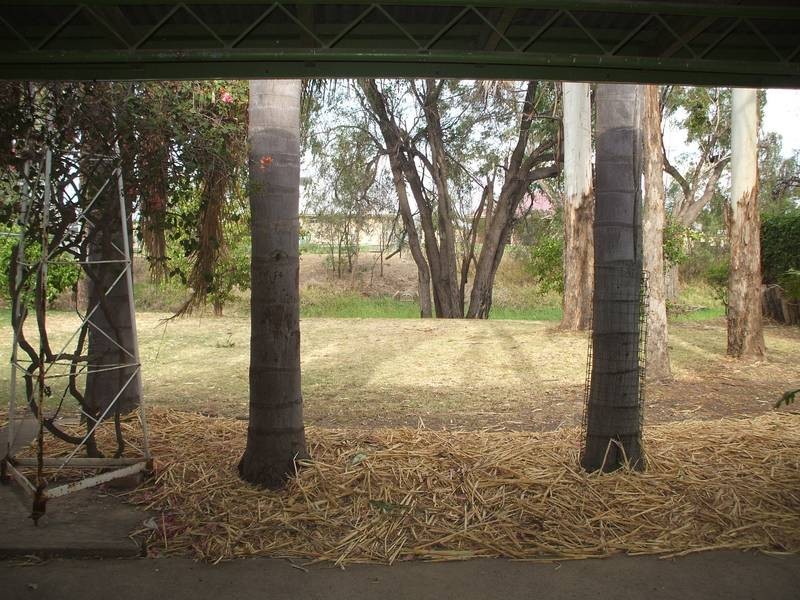 126 Pfingst, Goondiwindi QLD 4390