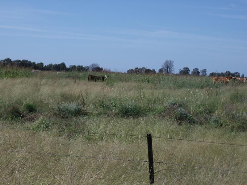 Goondiwindi QLD 4390