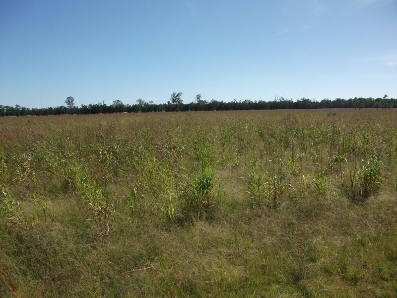 Goondiwindi QLD 4390