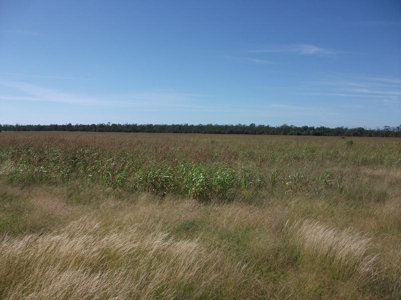 Goondiwindi QLD 4390