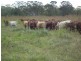 1078 Burumbah Rd, Goondiwindi QLD 4390