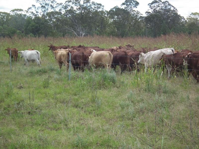 1078 Burumbah Rd, Goondiwindi QLD 4390