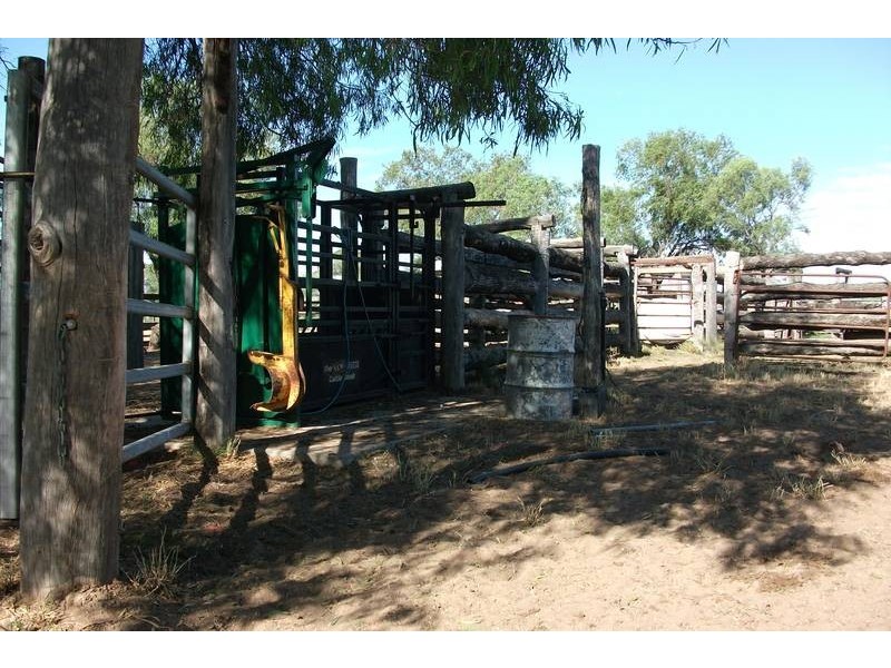1078 Burumbah Rd, Goondiwindi QLD 4390