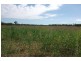 1078 Burumbah Rd, Goondiwindi QLD 4390
