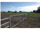 1078 Burumbah Rd, Goondiwindi QLD 4390