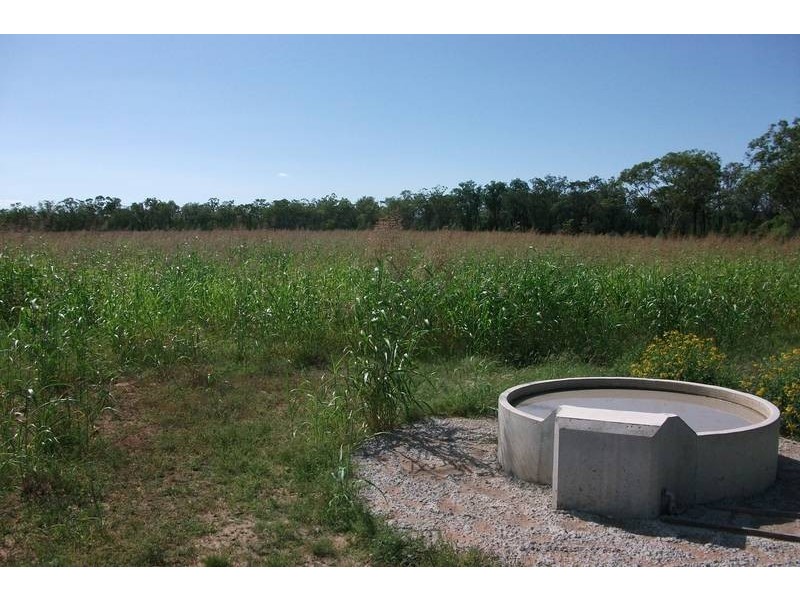 1078 Burumbah Rd, Goondiwindi QLD 4390