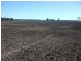 1078 Burumbah Rd, Goondiwindi QLD 4390