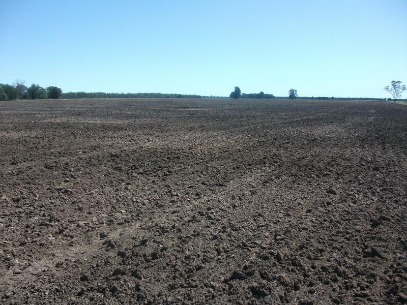 1078 Burumbah Rd, Goondiwindi QLD 4390