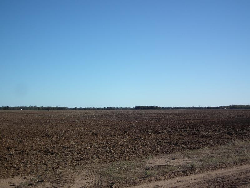 1078 Burumbah Rd, Goondiwindi QLD 4390