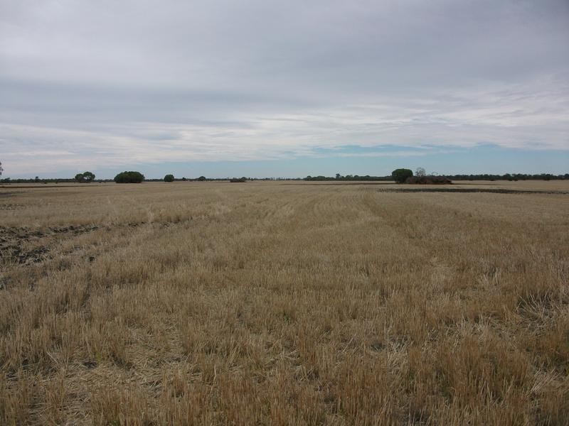 Goondiwindi QLD 4390