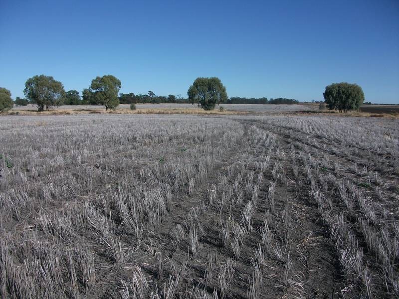 Goondiwindi QLD 4390