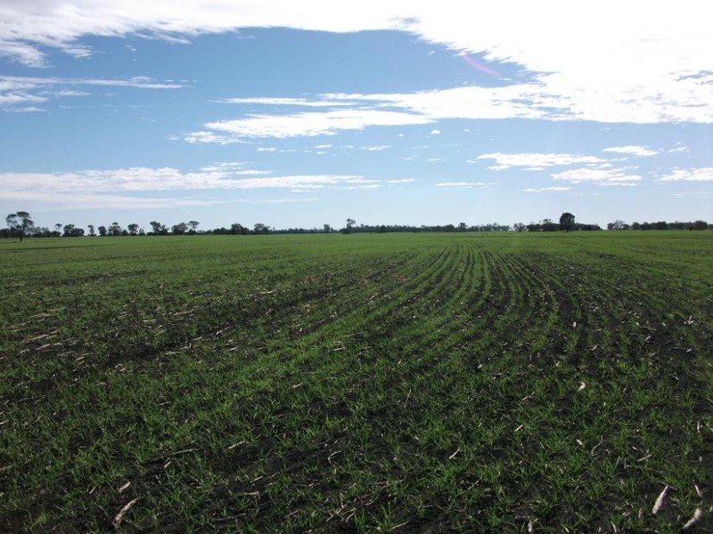 Goondiwindi QLD 4390