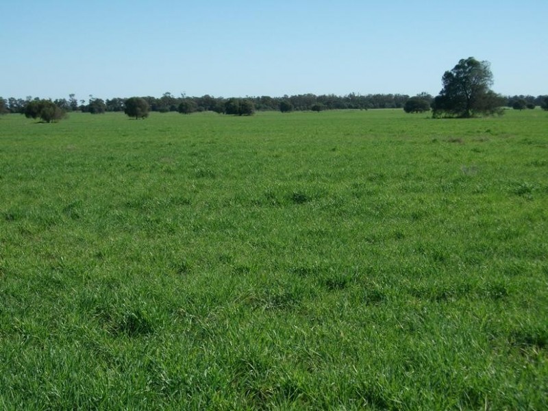 Goondiwindi QLD 4390