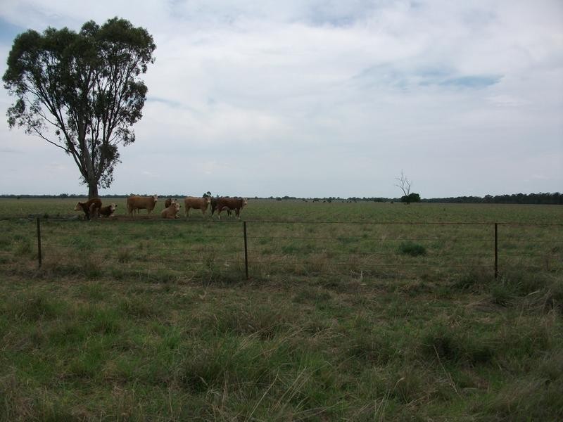 Goondiwindi QLD 4390