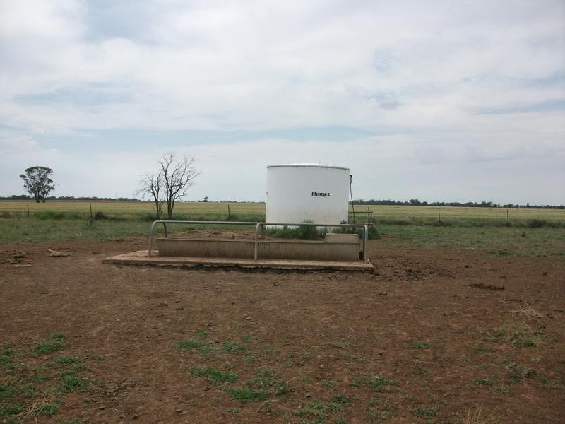 Goondiwindi QLD 4390