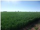 1 Mt Carmel Road, Billa Billa QLD 4390