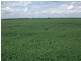 1 Mt Carmel Road, Billa Billa QLD 4390