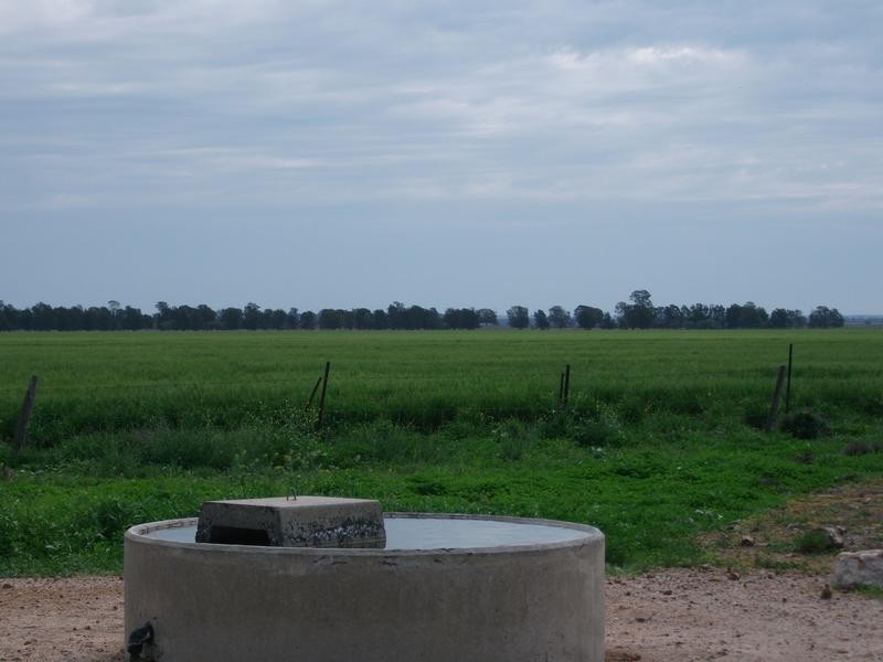 1 Mt Carmel Road, Billa Billa QLD 4390