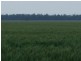 1 Mt Carmel Road, Billa Billa QLD 4390