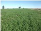 1 Mt Carmel Road, Billa Billa QLD 4390