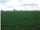 1 Mt Carmel Road, Billa Billa QLD 4390