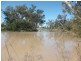 1 Mt Carmel Road, Billa Billa QLD 4390
