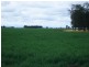 1 Mt Carmel Road, Billa Billa QLD 4390