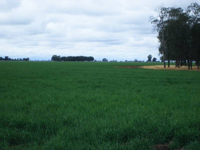 1 Mt Carmel Road, Billa Billa QLD 4390