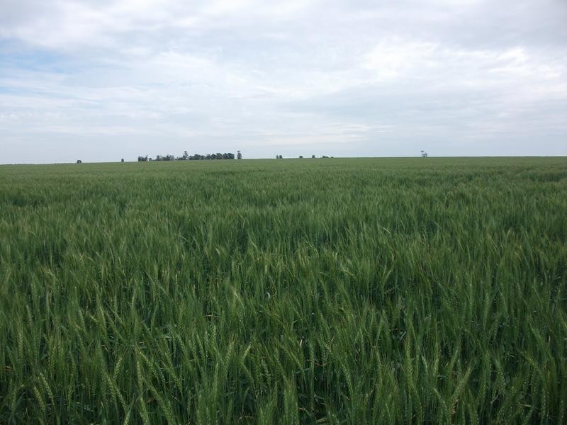 1 Retreat Rd, Billa Billa QLD 4390