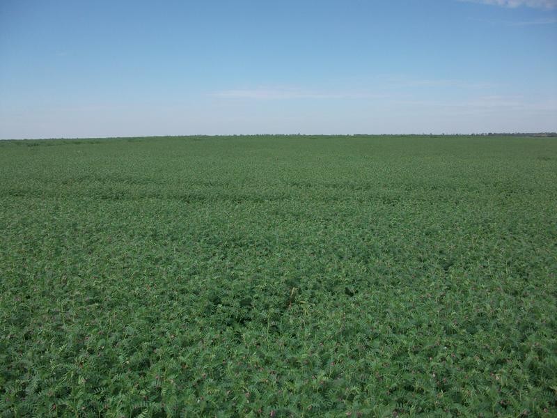 1 Retreat Rd, Billa Billa QLD 4390