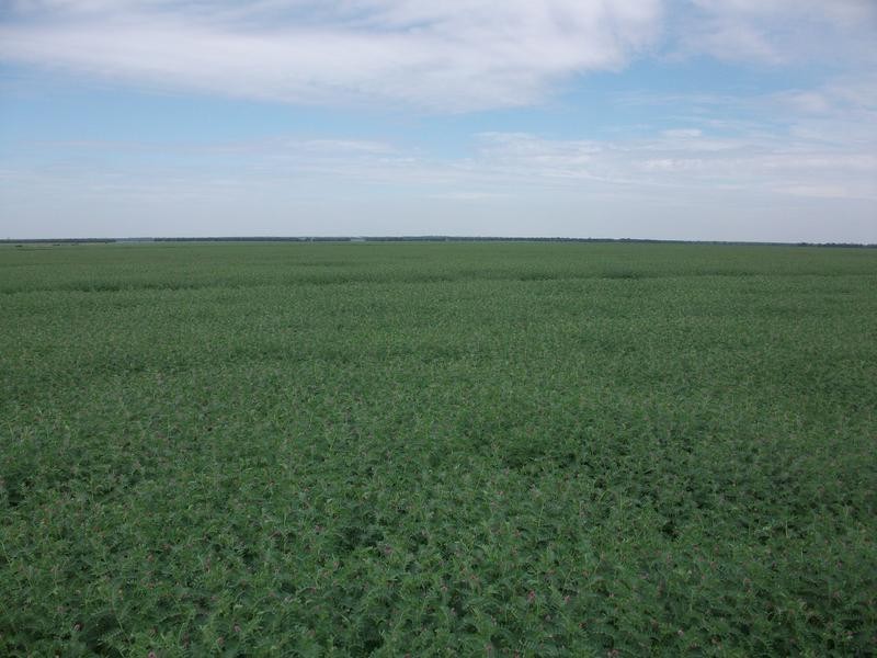 1 Retreat Rd, Billa Billa QLD 4390