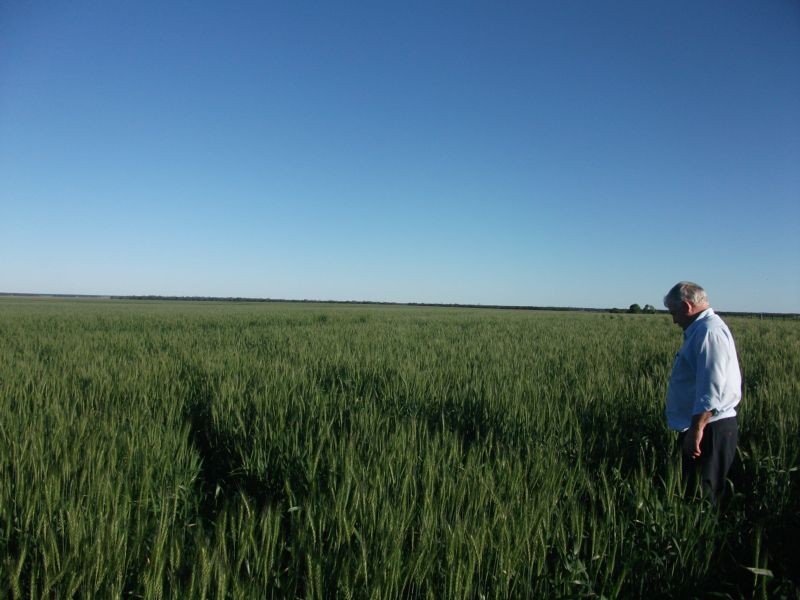 1 Retreat Rd, Billa Billa QLD 4390