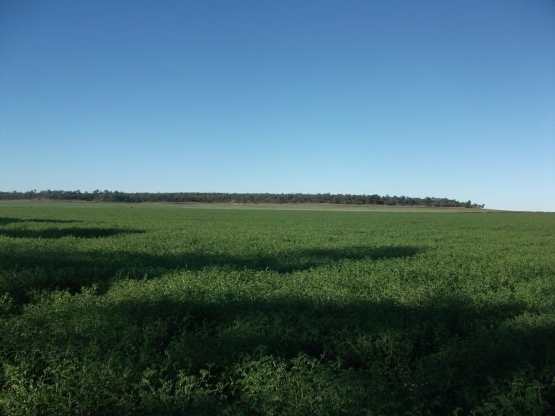 1 Retreat Rd, Billa Billa QLD 4390