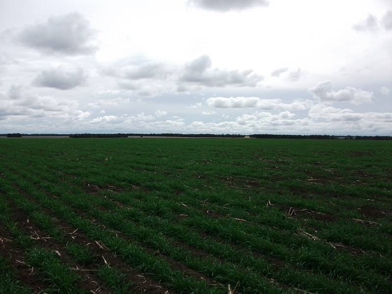 1 Retreat Rd, Billa Billa QLD 4390