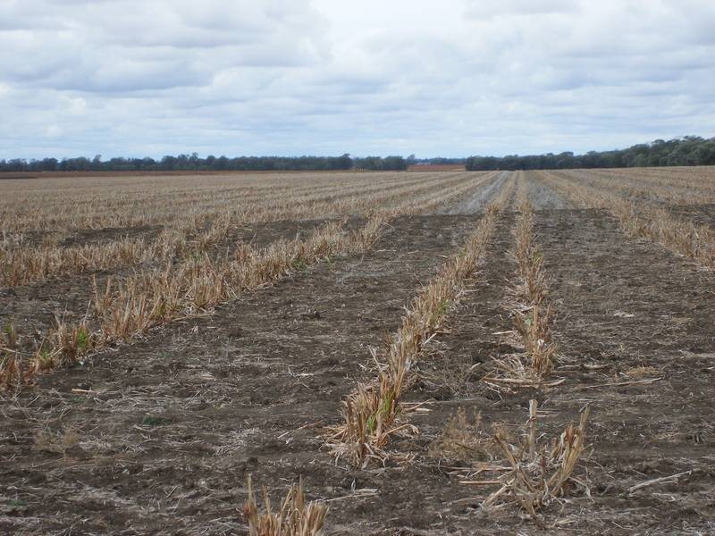 1 Retreat Rd, Billa Billa QLD 4390