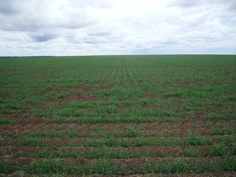 1 Retreat Rd, Billa Billa QLD 4390