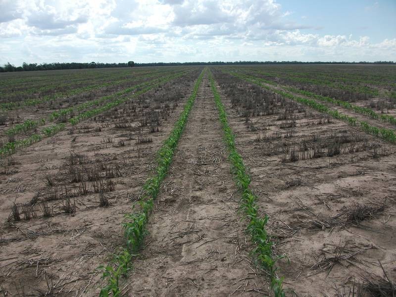 Goondiwindi QLD 4390