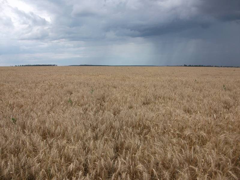 Goondiwindi QLD 4390