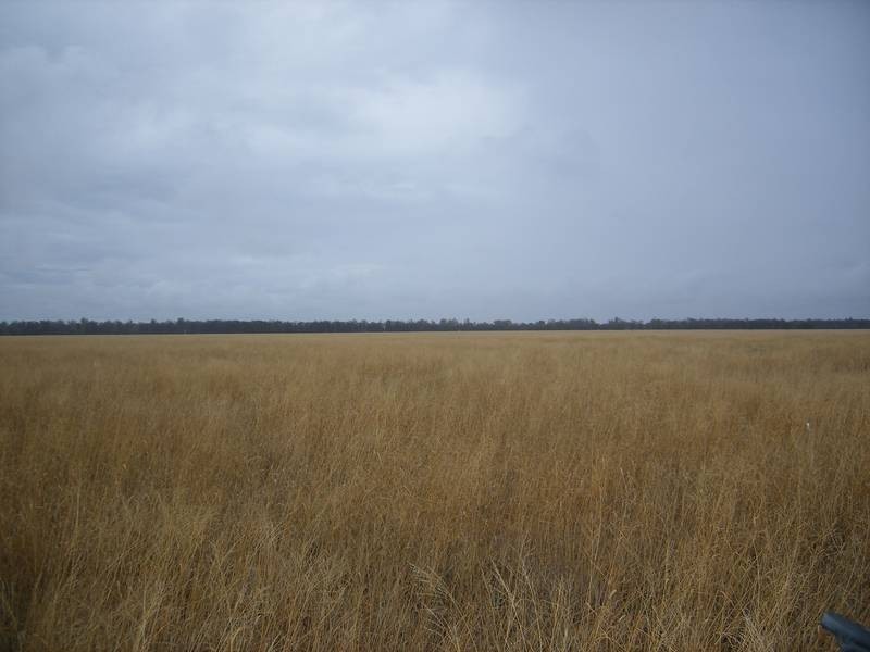 Goondiwindi QLD 4390