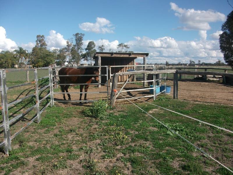 Goondiwindi QLD 4390