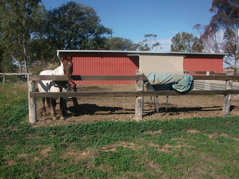 Goondiwindi QLD 4390