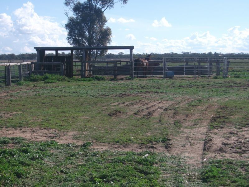 Goondiwindi QLD 4390