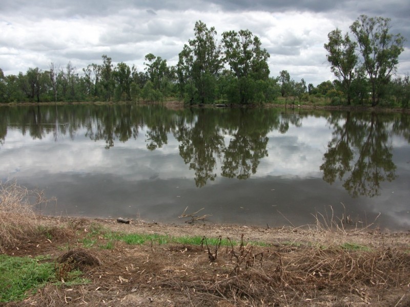 Goondiwindi QLD 4390