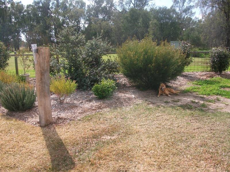 Goondiwindi QLD 4390