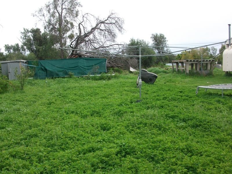 38 Yeoman St, Boggabilla NSW 2409
